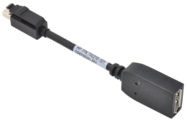 HP Mini DisplayPort auf DisplayPort Adapterkabel 10 cm