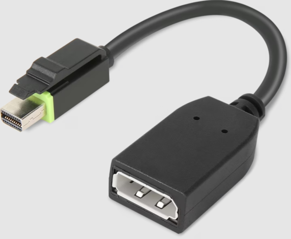 PNY Mini DisplayPort auf DisplayPort Adapterkabel 10 cm - neuwertig